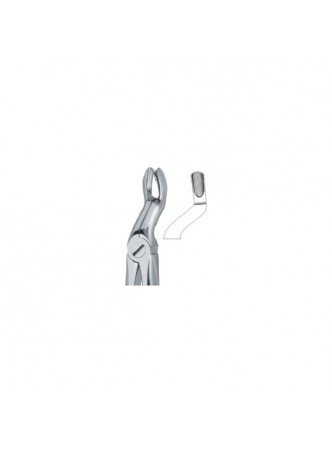 Tooth Ext Forceps